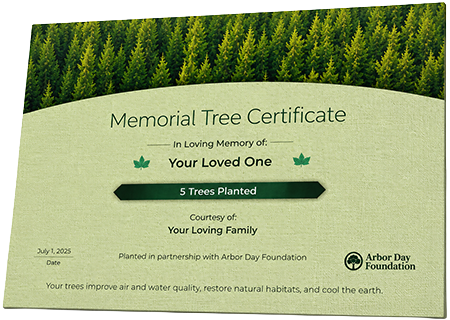 Plant Trees in Memory of Walter Jackson